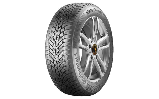 Continental WINTER CONTACT TS870 195/50/R15 82T iarna