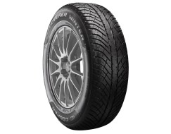 Cooper DISCOVERER WINTER 205/55/R16 91H iarna