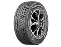 Gt Radial WINTERPRO2 EVO 205/55/R16 91H iarna