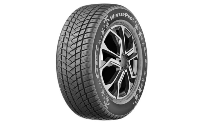 Gt Radial WINTERPRO2 EVO 205/55/R16 91H iarna