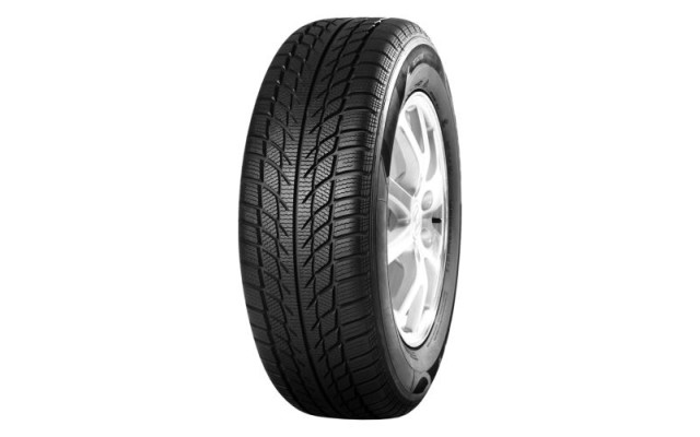 Goodride SW608 185/65/R15 88H iarna