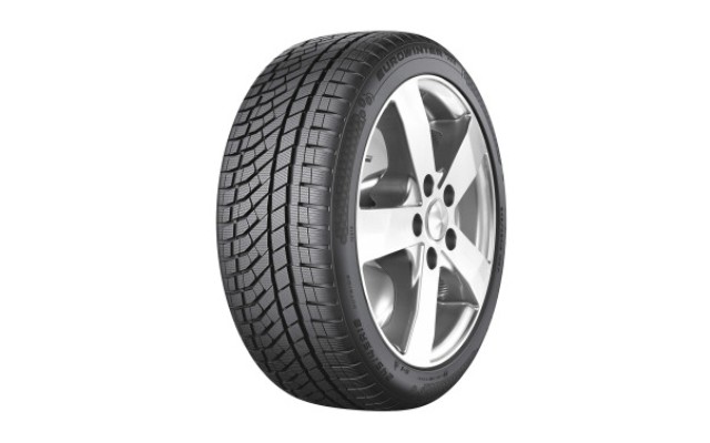 Falken EUROWINTER HS02PRO 225/55/R19 103V XL iarna