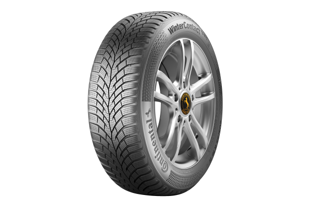 Continental TS870 195/65/R15 91T iarna